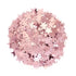 Rose Colour Star Shape Scatters